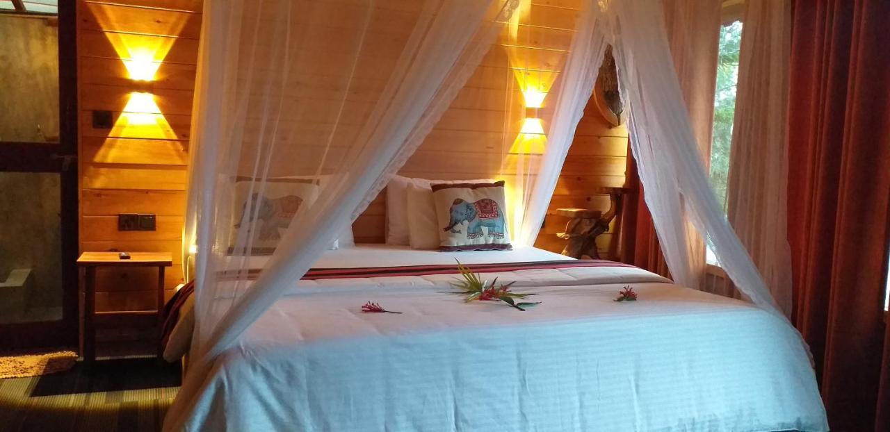 Mc Queen Homestay Ella Kültér fotó