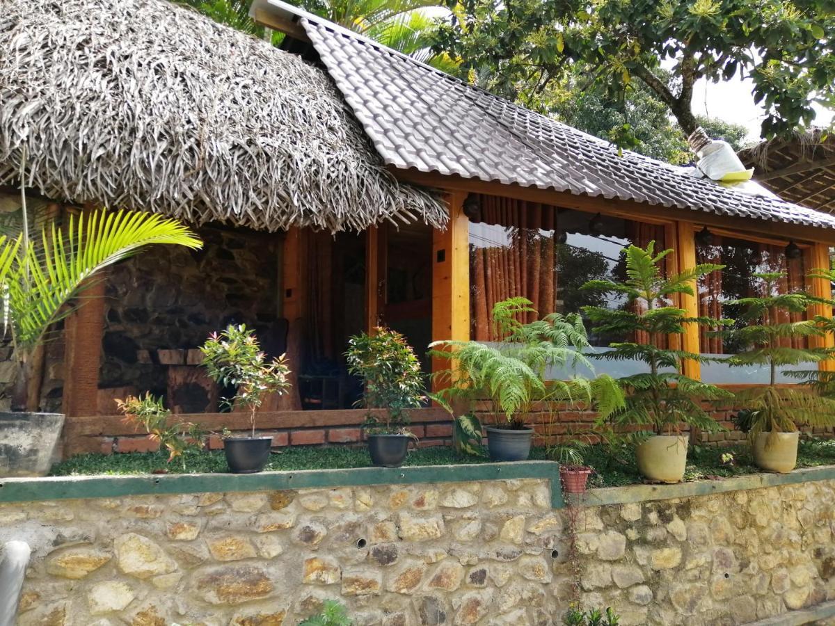 Mc Queen Homestay Ella Kültér fotó